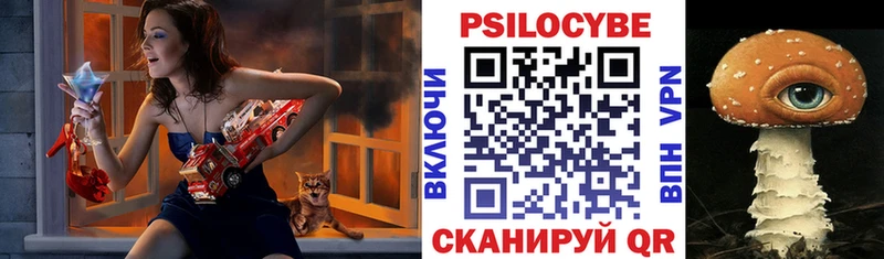 Галлюциногенные грибы Psilocybine cubensis  закладка  Кирсанов 